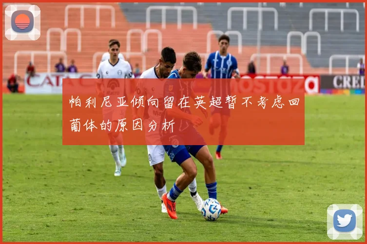 帕利尼亚倾向留在英超暂不考虑回葡体的原因分析