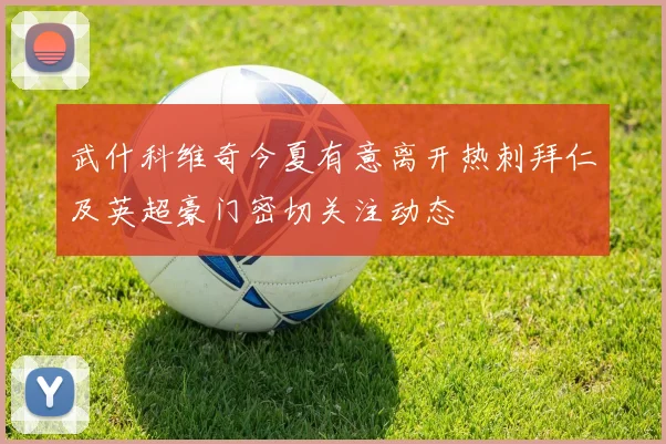 武什科维奇今夏有意离开热刺拜仁及英超豪门密切关注动态